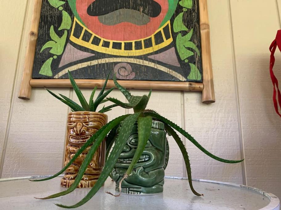 Hau'Oli Place Tiki Cottage In Volcano Exteriér fotografie