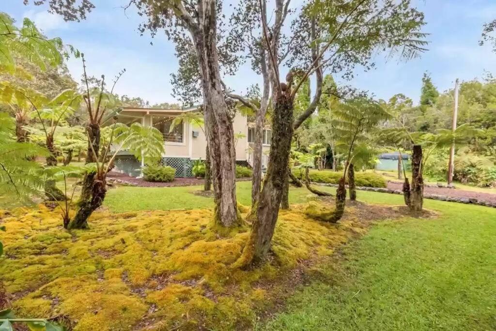 Hau'Oli Place Tiki Cottage In Volcano Exteriér fotografie