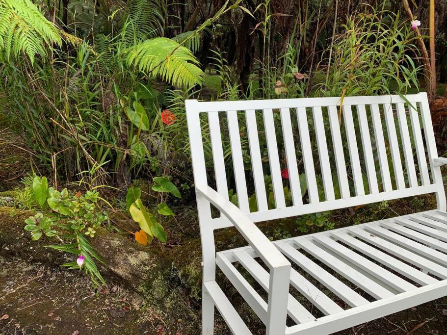 Hau'Oli Place Tiki Cottage In Volcano Exteriér fotografie